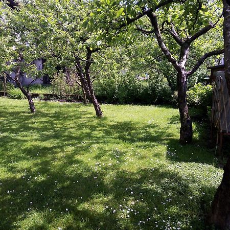 Apartma Rutar Tolmin Εξωτερικό φωτογραφία