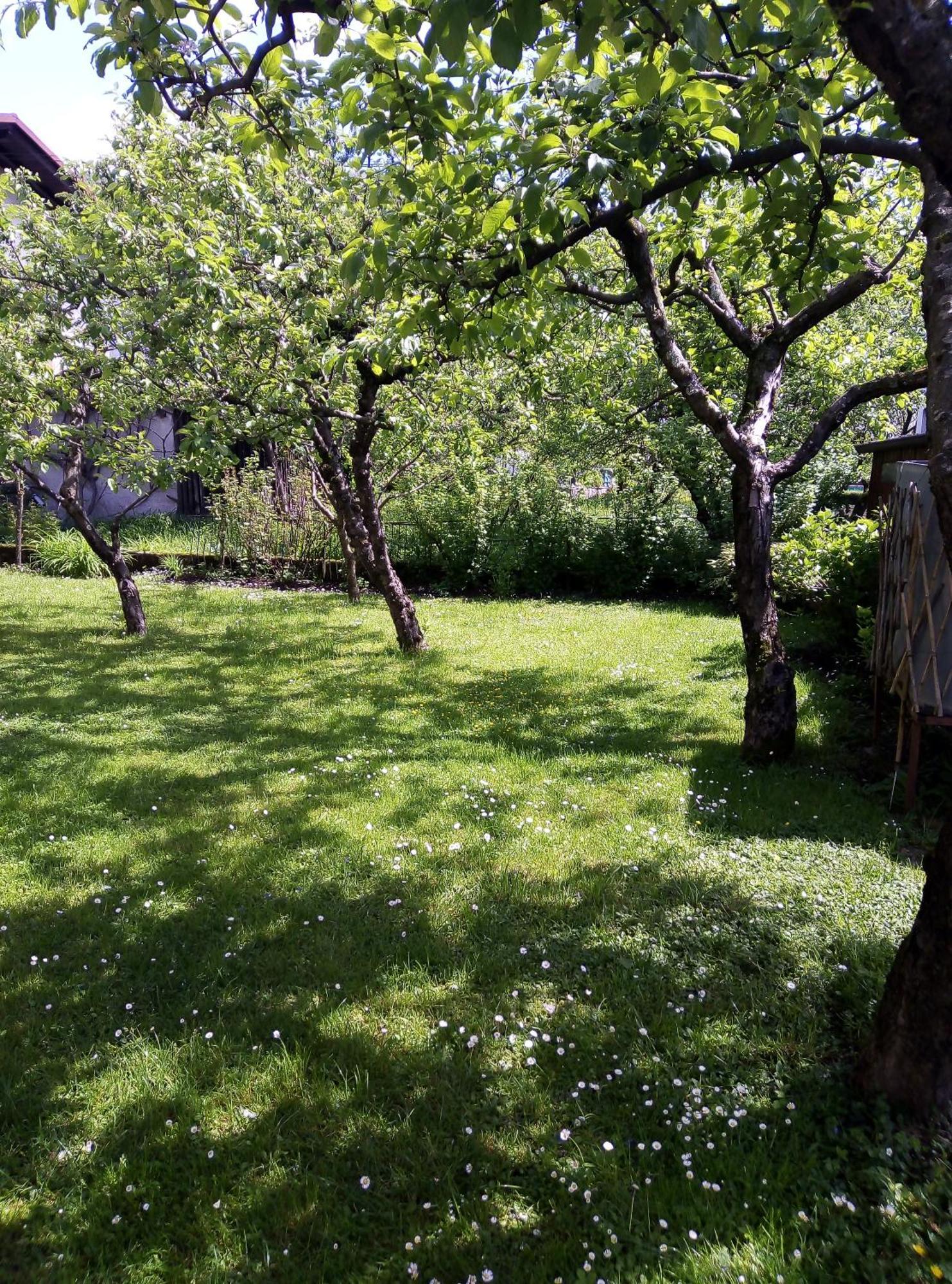 Apartma Rutar Tolmin Εξωτερικό φωτογραφία